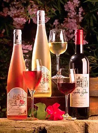 Chateau De Cavanac 3* Leuc