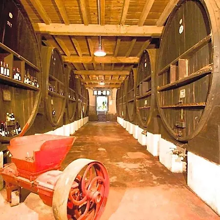 Chateau De Cavanac מלון 3*
